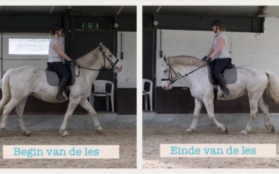 Rechtrichten van je paard